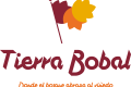 tierra bobal